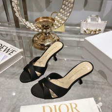 Christian Dior Slippers